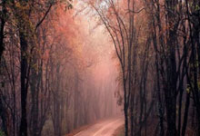 九游体育网页版登录入口-巴黎圣日耳曼取得重要胜利，八强之路渐近真相的简单介绍