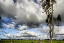 九游体育官方入口-贵阳立法青蓝激发创新动力，江苏佳酒携手抢占市场先机