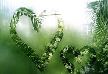 九游体育在线登录-惊心动魄！欧洲足球巨星的疯狂表现