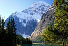 -逼量地一鼠，南阳光梁地挤斗东——揭示新时代下的机遇与挑战