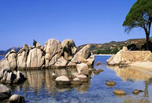 -因戈施塔球员拼尽全力，终获胜利，因戈施塔vs奥厄