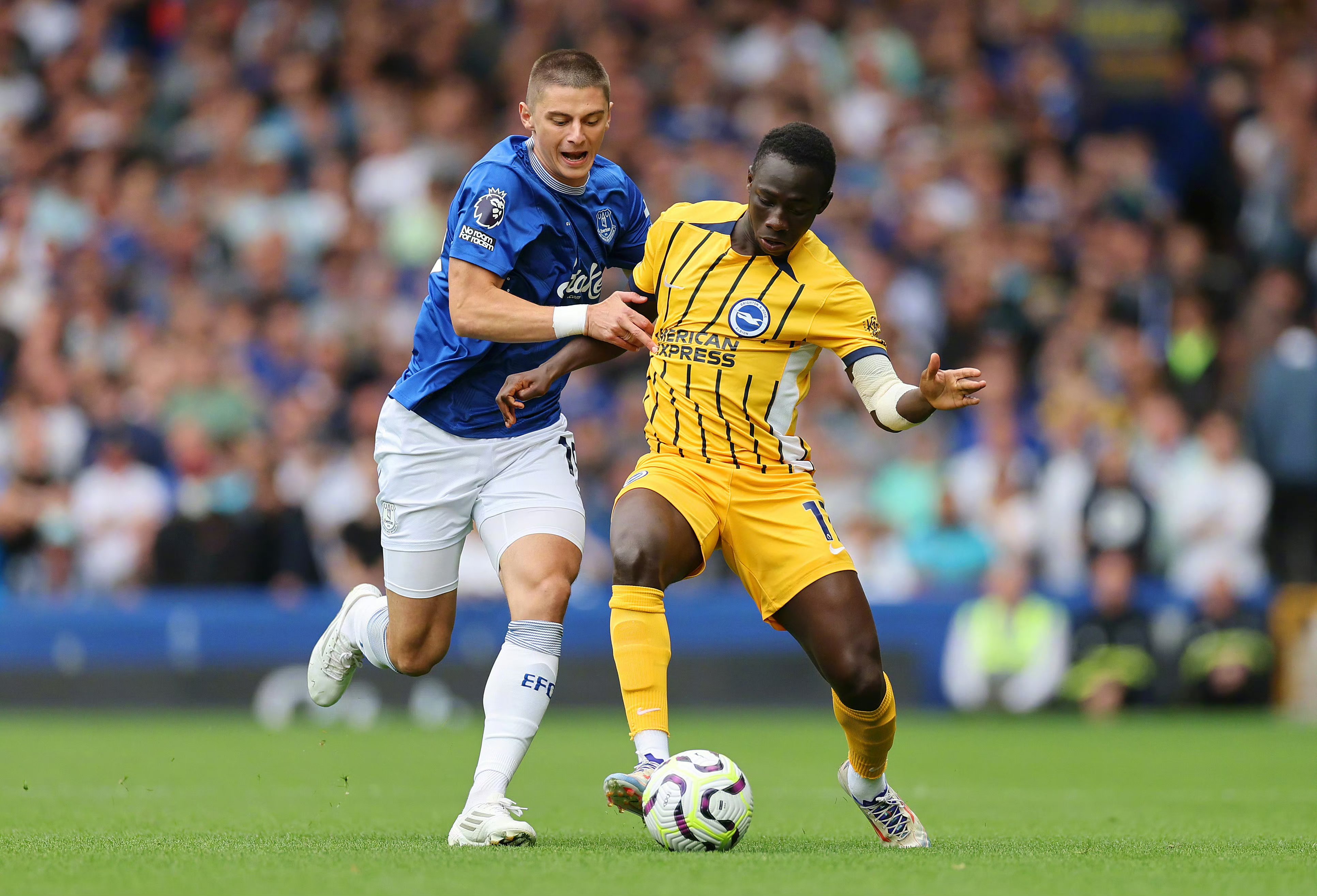 布莱顿主教练信心十足,球队稳定发挥的简单介绍 布莱顿主教练信心十足,球队稳定发挥的简单介绍